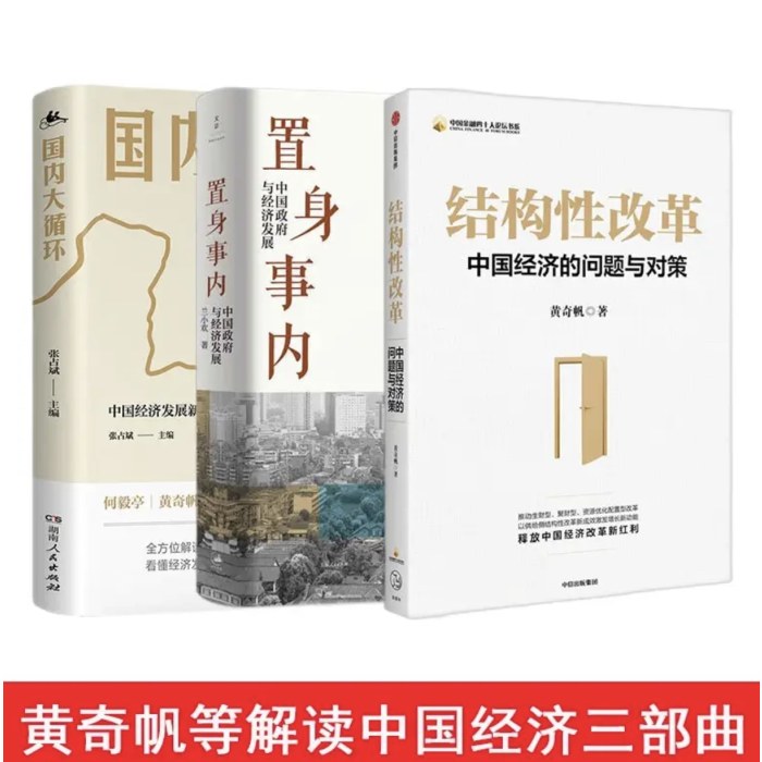 中国经济三部曲：结构性改革（黄奇帆）+置身事内（兰小欢）+国内大循环（张占斌）