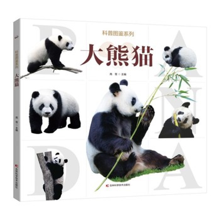 科普图鉴系列-大熊猫