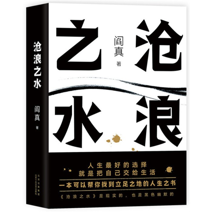沧浪之水（某瓣8.5分，入围茅盾文学奖。职场小白、考公人的启蒙之书。胡军、于和伟主演电视剧岁月原著。2021版）