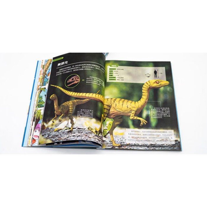 大中华寻宝记系列 恐龙世界寻宝记2 神奇陨石