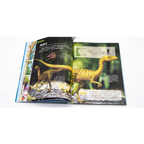 大中华寻宝记系列 恐龙世界寻宝记2 神奇陨石