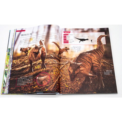 大中华寻宝记系列恐龙世界寻宝记3黑水晶柱