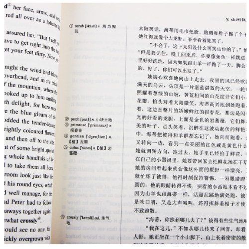 小海蒂/双语名著无障碍阅读丛书