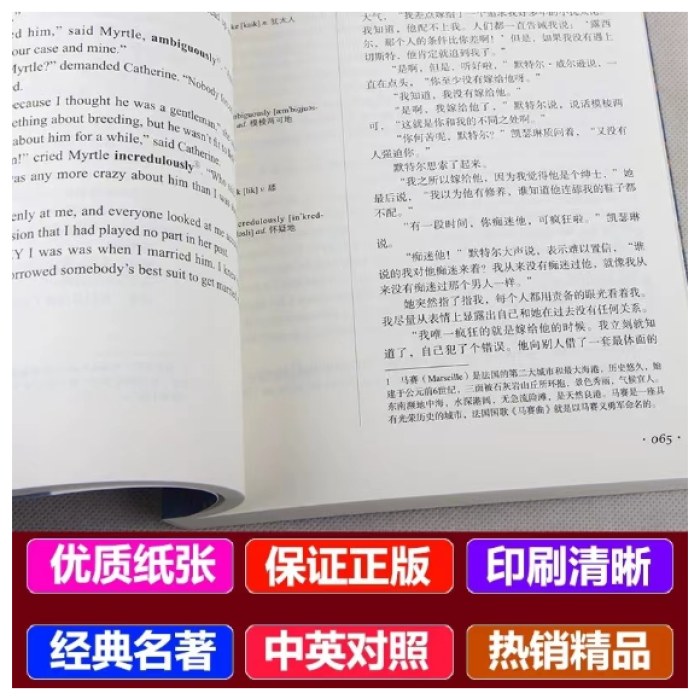 了不起的盖茨比