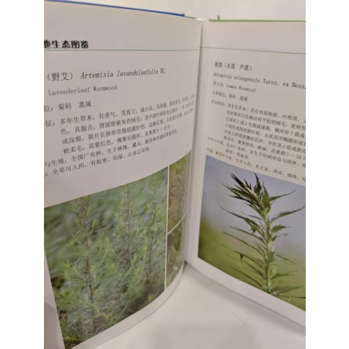 l辽宁湿地生态图鉴