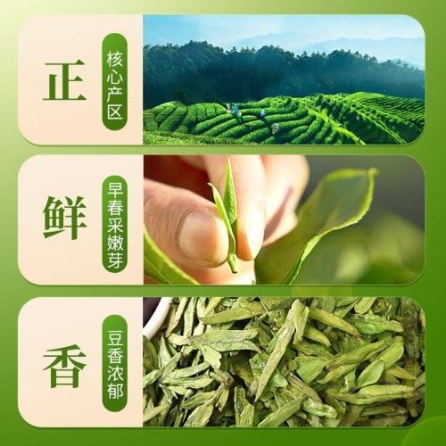 2026新茶一杯香龙井茶新茶明前浓香型绿茶250克礼盒