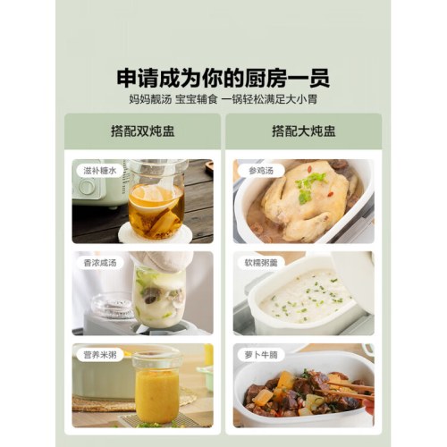北鼎G55A/025 多功能电蒸锅 浅杉绿