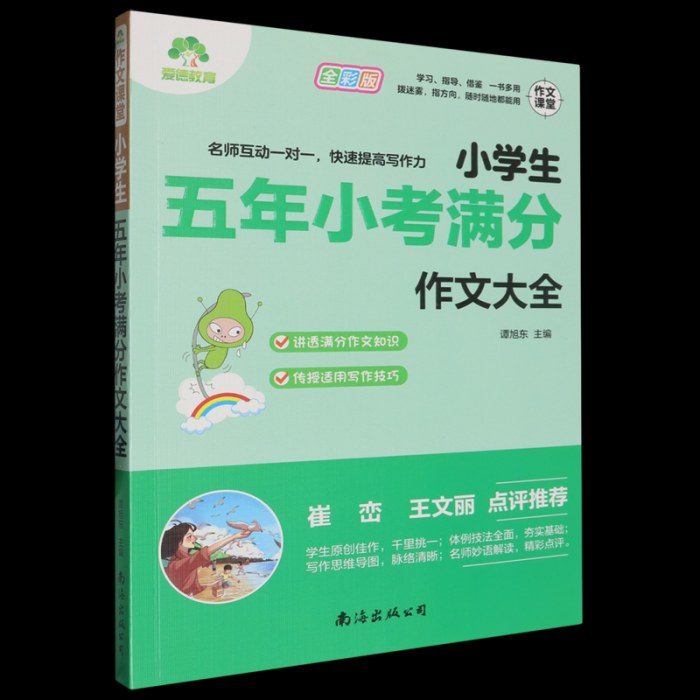 小学生五年小考满分作文大全