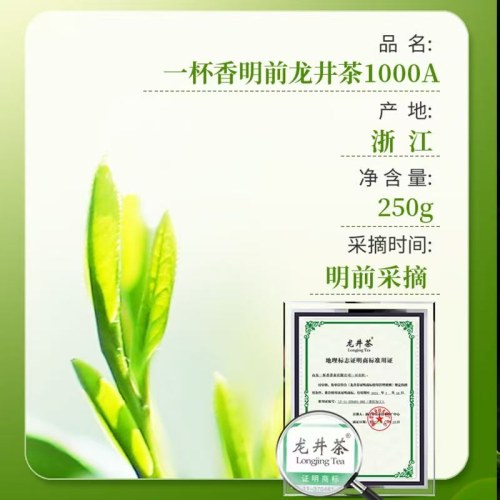 2026新茶一杯香龙井茶新茶明前浓香型绿茶250克礼盒