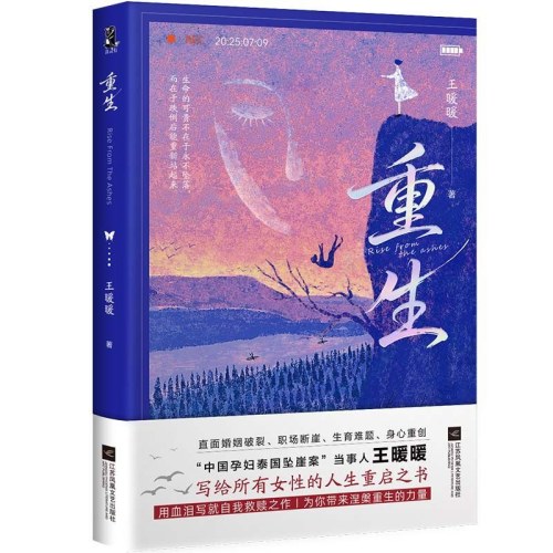 重生 中国孕妇泰国坠崖案当事人王暖暖 写给所有女性人生重启之书