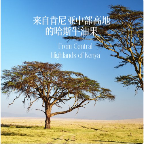 晟麦0反式牛油果1L*2瓶