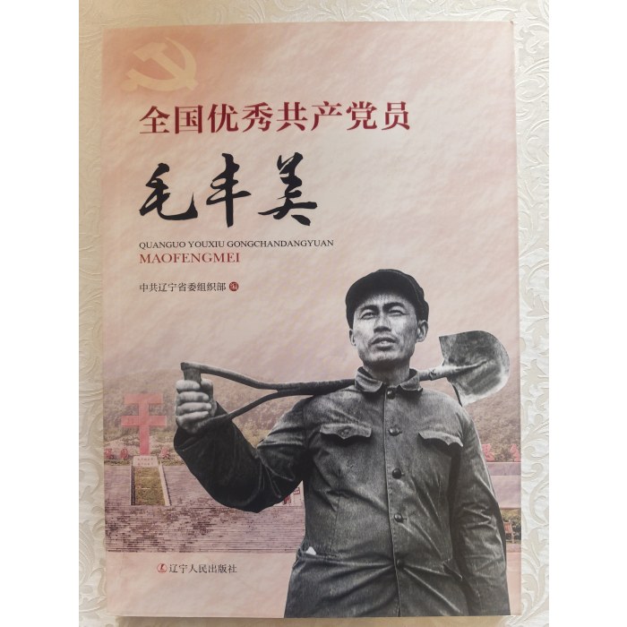 全国优秀共产党员毛丰美