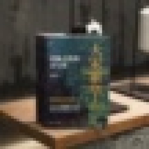 经纬度丛书·大宋繁华：造极之世的表与里