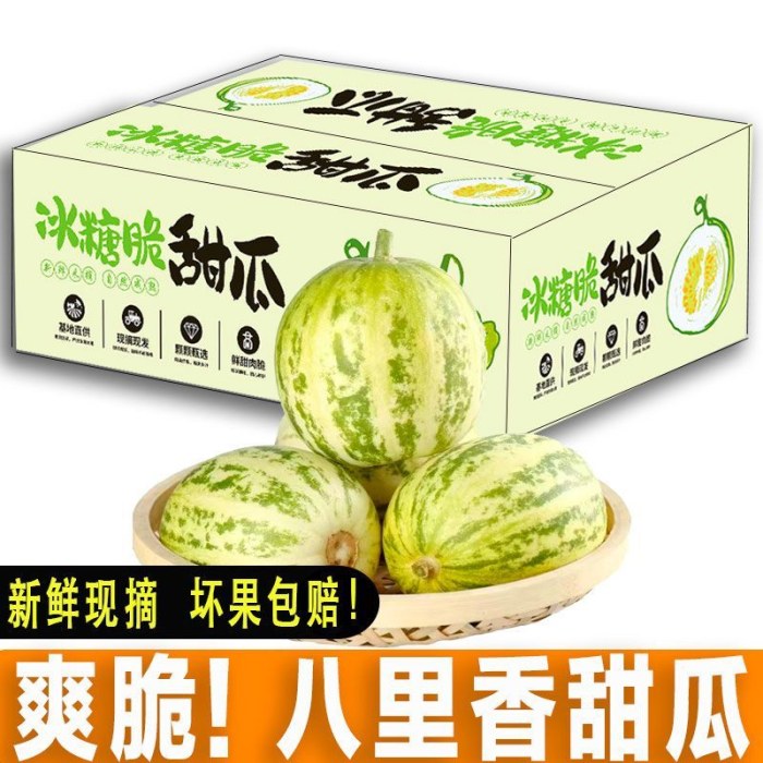 头茬山东八里香甜瓜脆甜多汁