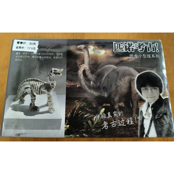 小型版恐龙系列-雷龙