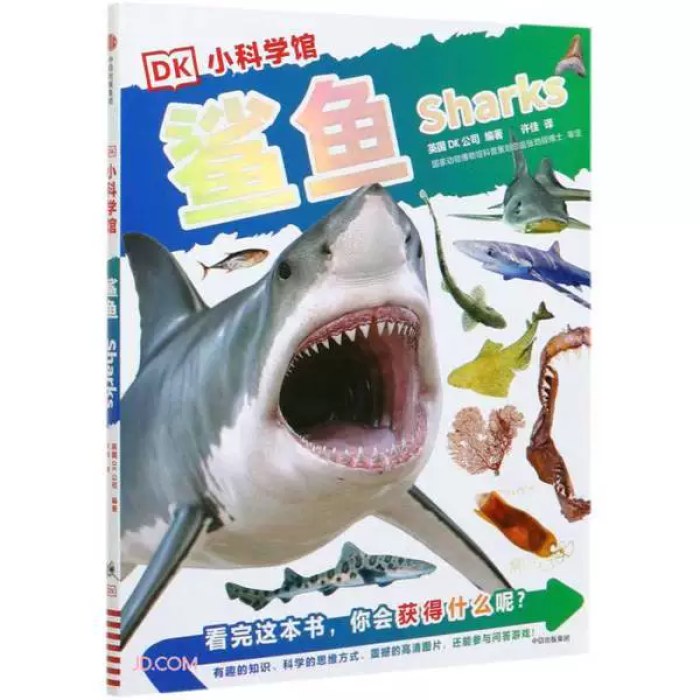 DK小科学馆鲨鱼