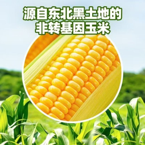 早餐粗粮鲜糯粘玉米饼