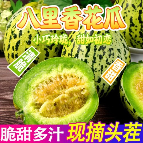 头茬山东八里香甜瓜脆甜多汁