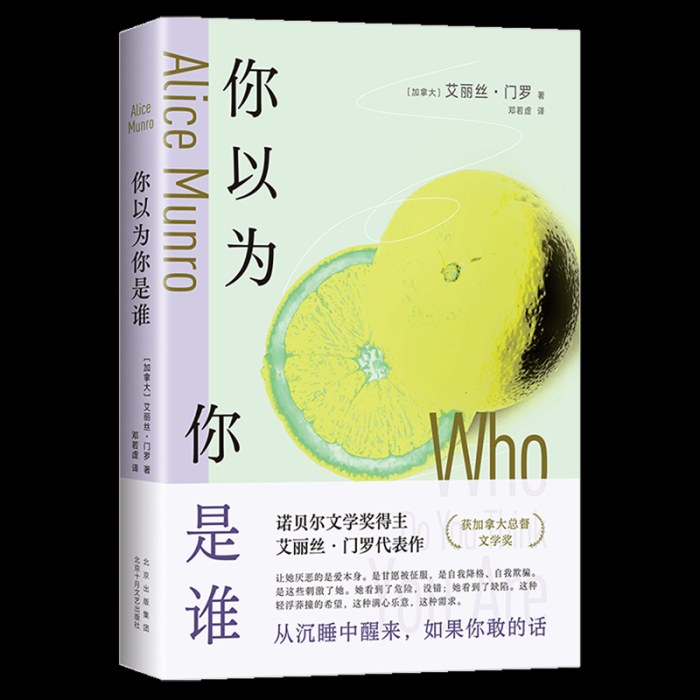 你以为你是谁  艾丽丝门罗