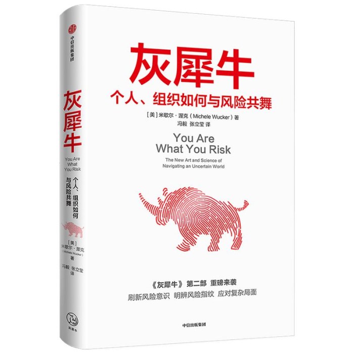 灰犀牛 个人，组织如何与风险共舞
