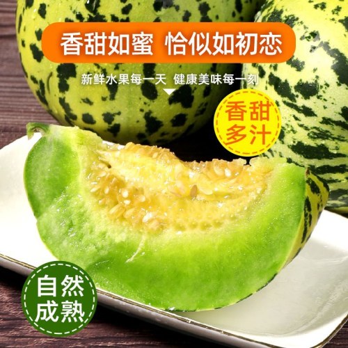 头茬山东八里香甜瓜脆甜多汁