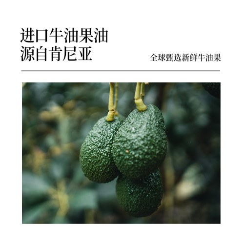 晟麦0反式牛油果1L