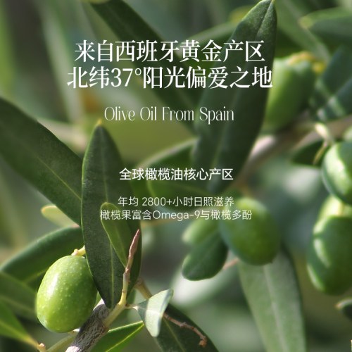 晟麦初级特榨橄榄油 500ml