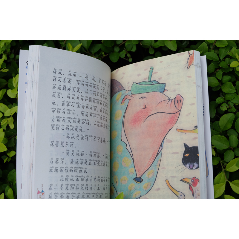 全球儿童文学典藏书系（注音版）：帅猪的冒险