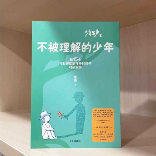 不被理解的少年