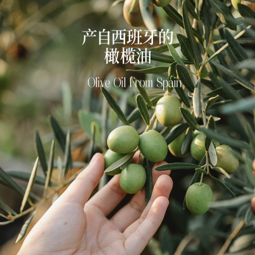 晟麦喷雾橄榄油 220ml
