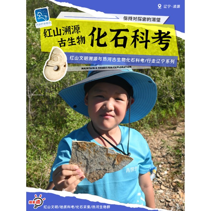 【探索世界】化石科考营