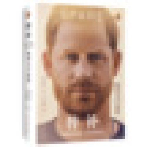 替补：哈里王子自传