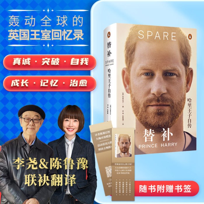 替补：哈里王子自传