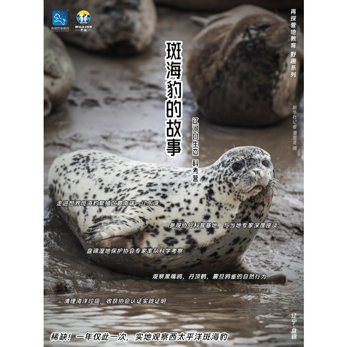 【探索世界】斑海豹的故事科考营