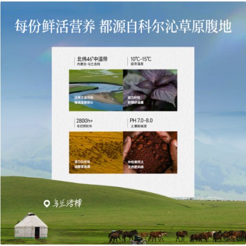 晟麦有机苏籽油套组100ml*5瓶