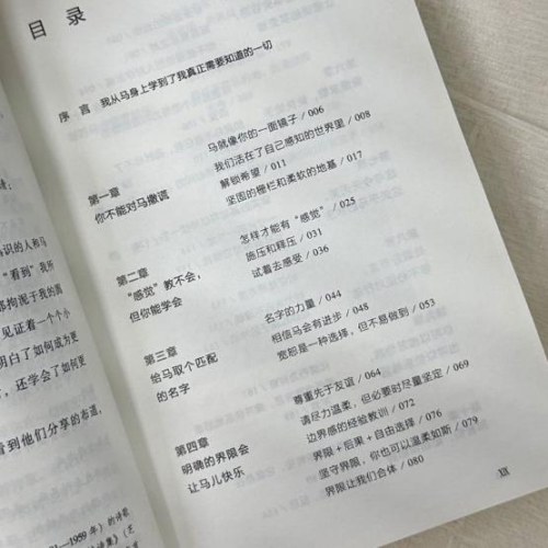 像马一样思考