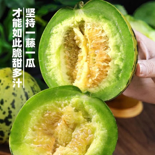 头茬山东八里香甜瓜脆甜多汁