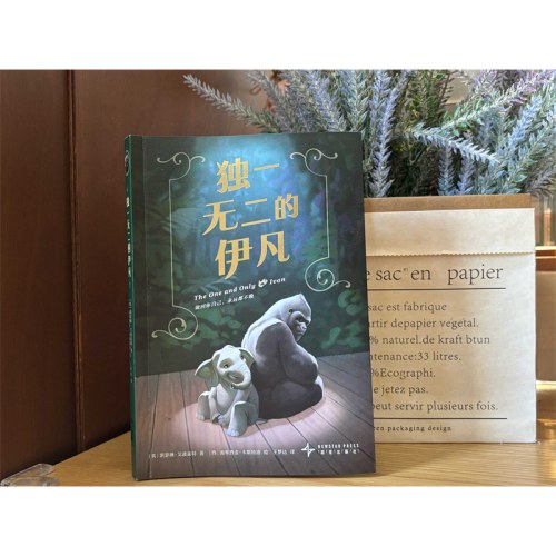 独一无二的伊凡