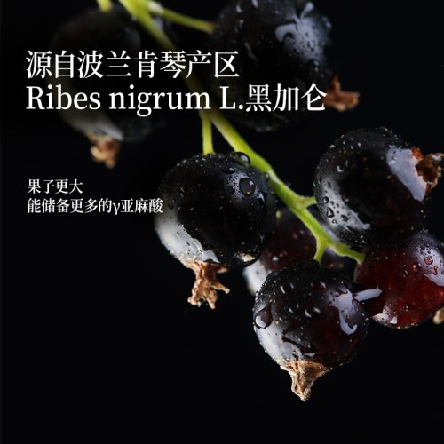 蓝雪豹黑加仑籽油