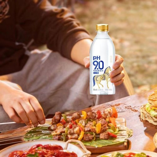 康师傅pH9.0碱性水350ml*12瓶