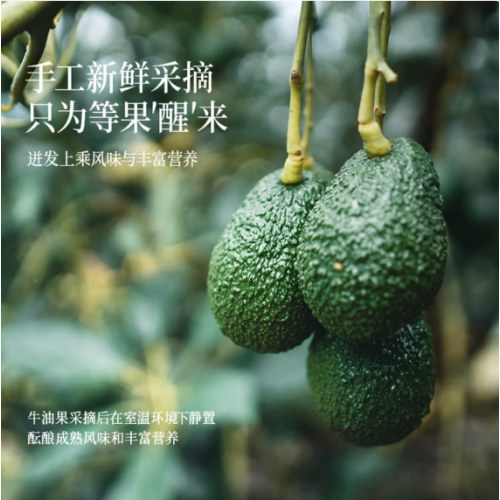 晟麦0反式牛油果1L*2瓶