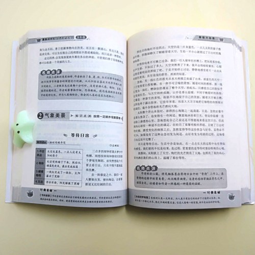 最新初中生分类作文大全9年级