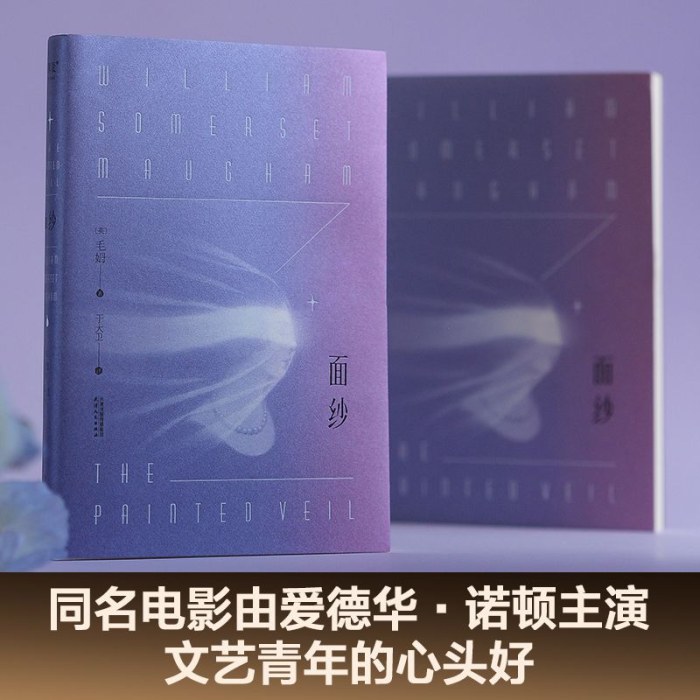 面纱 毛姆 讲述爱情中的背叛猜忌报复 外国文学小说