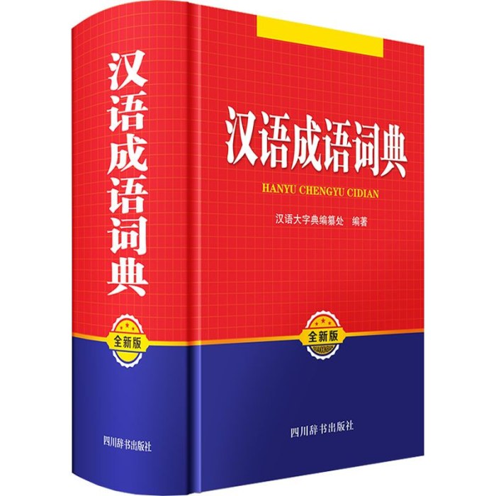汉语成语词典 全新版