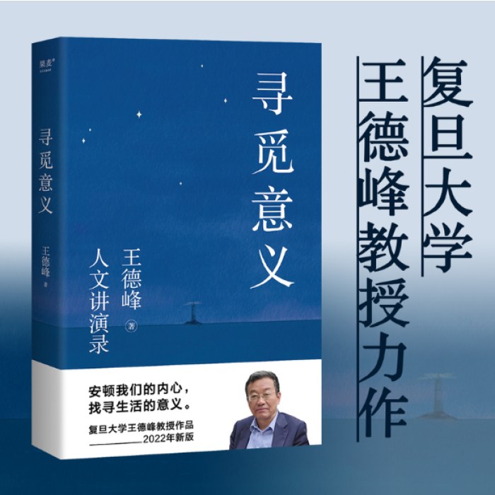 寻觅意义 复旦大学王德峰教授力作