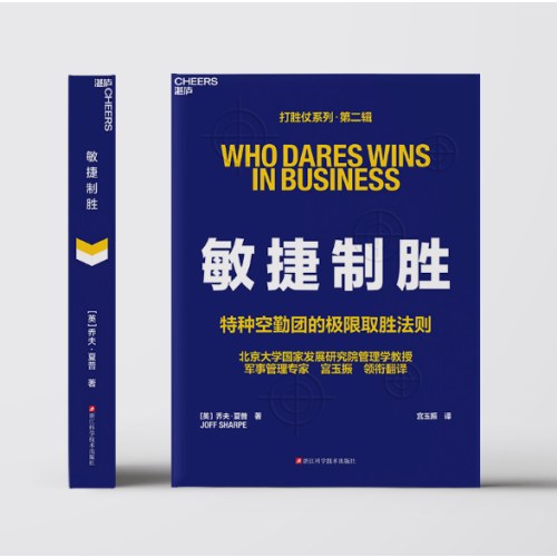 敏捷制胜：打胜仗系列·第二辑