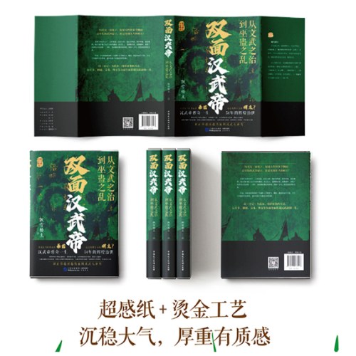 双面汉武帝:从文武之治到巫蛊之乱