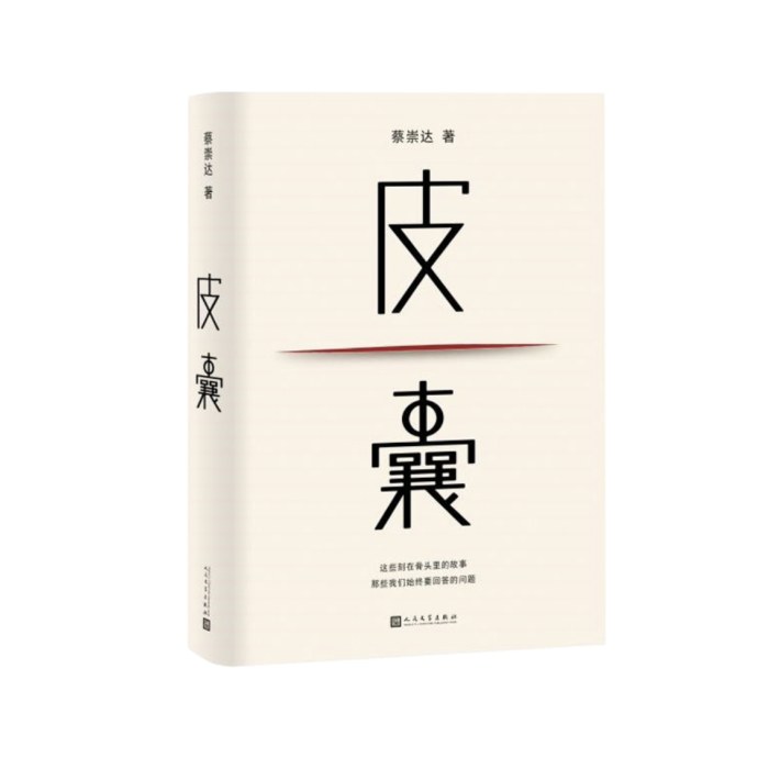 皮囊