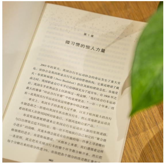 掌控习惯：如何养成好习惯并戒除坏习惯