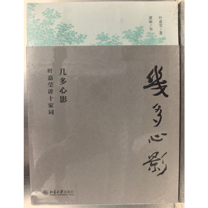 几多心影-叶嘉莹讲十家词